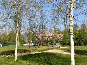 golf en bloeiende prunussen op hole9
